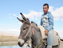 Bu azim örnek alınmalı